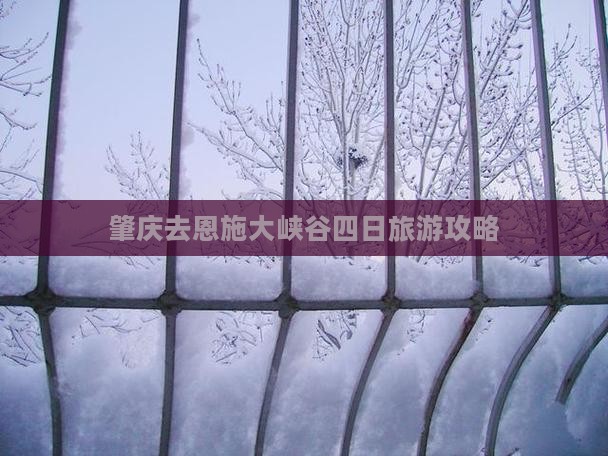 肇庆去恩施大峡谷四日旅游攻略