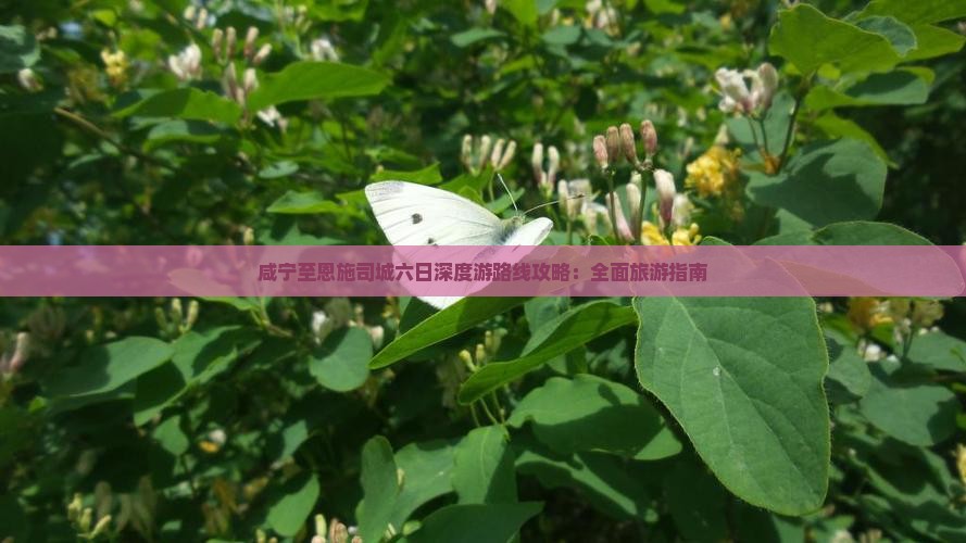 咸宁至恩施司城六日深度游路线攻略：全面旅游指南