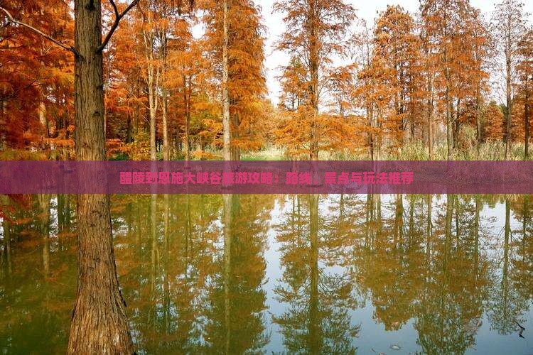 醴陵到恩施大峡谷旅游攻略：路线、景点与玩法推荐