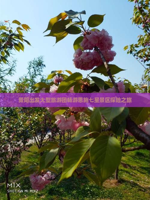 贵阳出发大型旅游团畅游恩施七星景区探险之旅