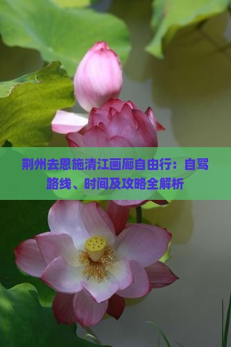 荆州去恩施清江画廊自由行：自驾路线、时间及攻略全解析