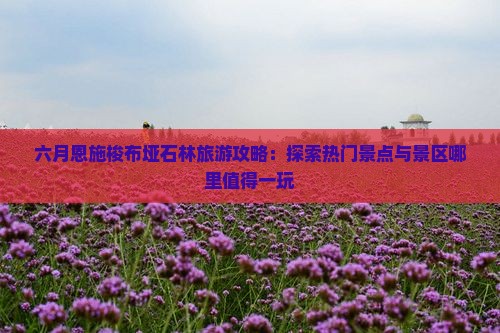 六月恩施梭布垭石林旅游攻略：探索热门景点与景区哪里值得一玩