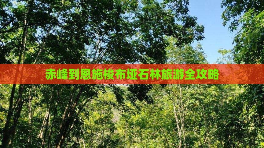 赤峰到恩施梭布垭石林旅游全攻略