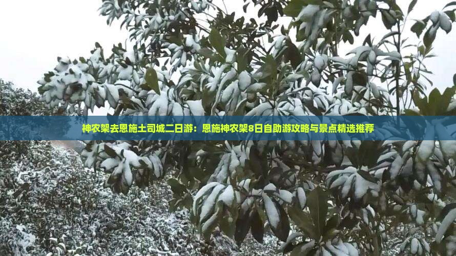 神农架去恩施土司城二日游：恩施神农架8日自助游攻略与景点精选推荐