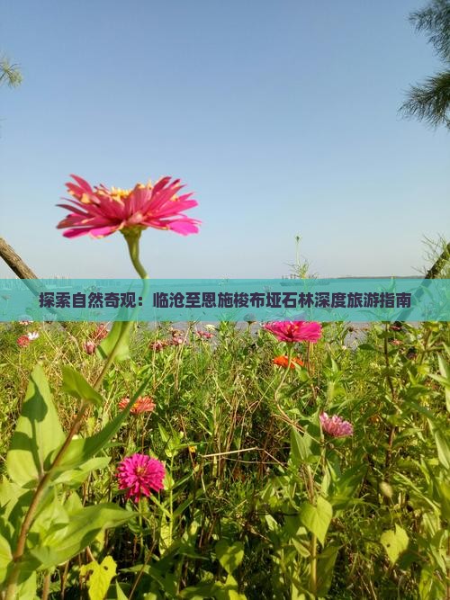 探索自然奇观：临沧至恩施梭布垭石林深度旅游指南
