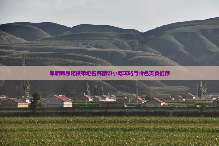 阜新到恩施梭布垭石林旅游小吃攻略与特色美食推荐