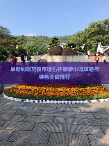 阜新到恩施梭布垭石林旅游小吃攻略与特色美食推荐