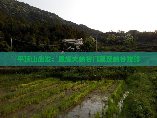 平顶山出发：恩施大峡谷门票及峡谷攻略