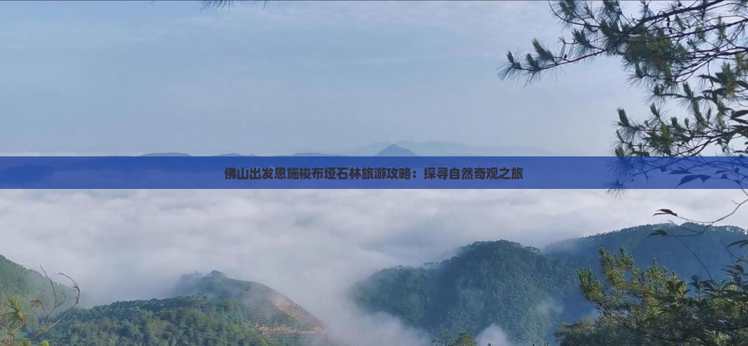 佛山出发恩施梭布垭石林旅游攻略：探寻自然奇观之旅