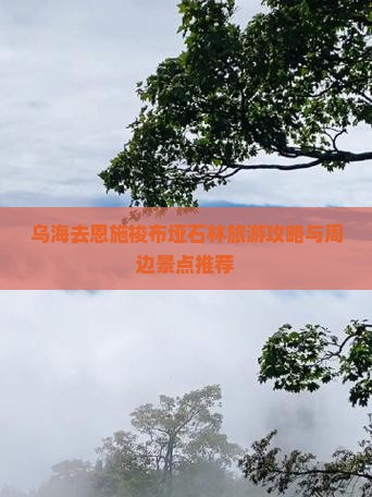乌海去恩施梭布垭石林旅游攻略与周边景点推荐