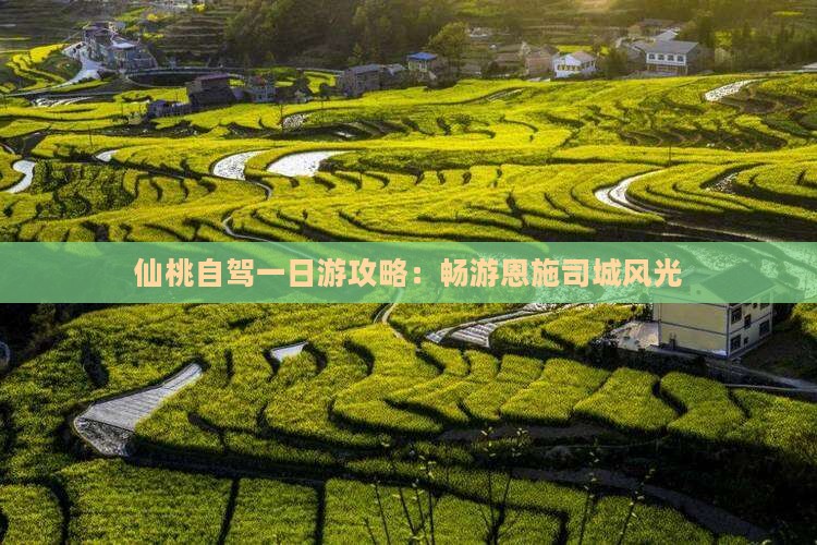 仙桃自驾一日游攻略：畅游恩施司城风光