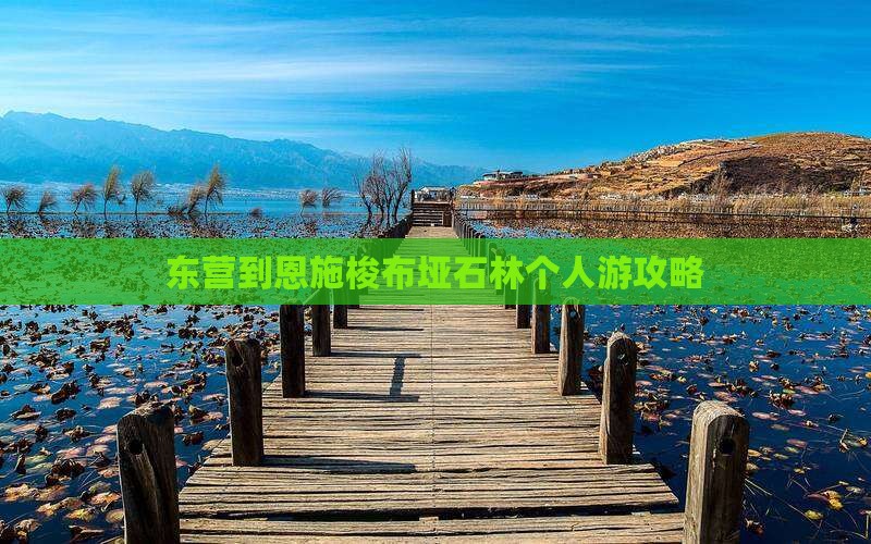 东营到恩施梭布垭石林个人游攻略
