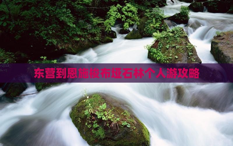 东营到恩施梭布垭石林个人游攻略