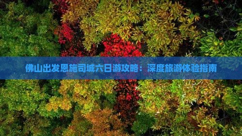 佛山出发恩施司城六日游攻略：深度旅游体验指南