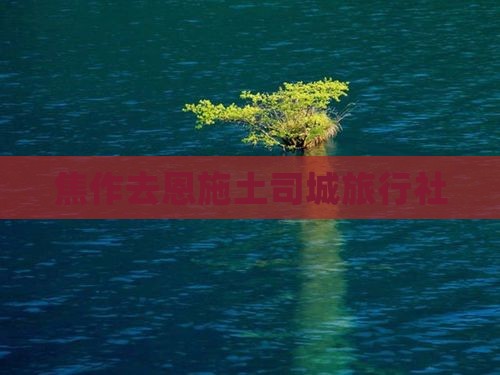 焦作去恩施土司城旅行社