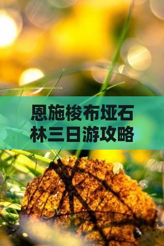 恩施梭布垭石林三日游攻略：节出行指南