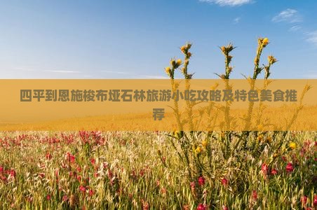四平到恩施梭布垭石林旅游小吃攻略及特色美食推荐