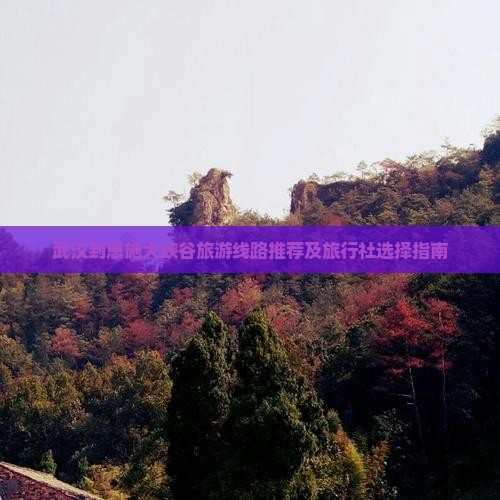 武汉到恩施大峡谷旅游线路推荐及旅行社选择指南
