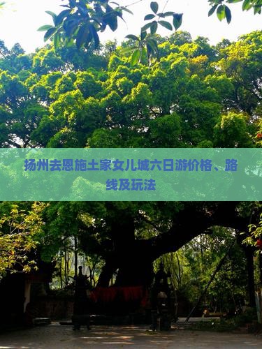 扬州去恩施土家女儿城六日游价格、路线及玩法