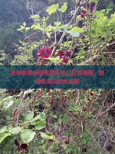 池州去恩施梭布垭石林二日游费用、路线及游玩时长指南