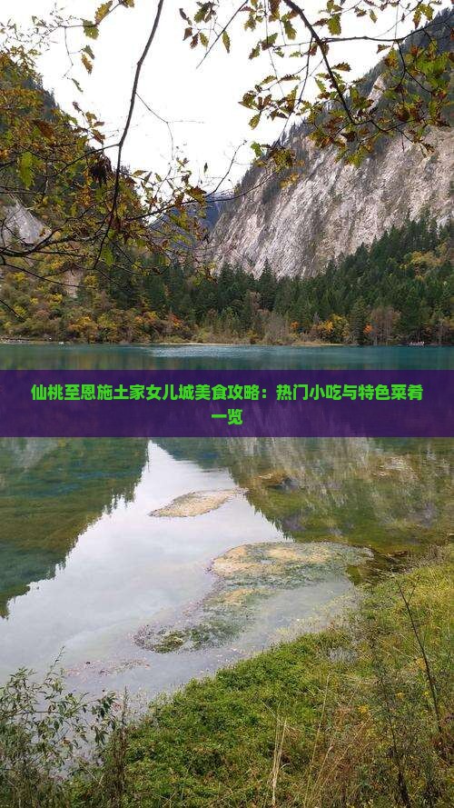 仙桃至恩施土家女儿城美食攻略：热门小吃与特色菜肴一览