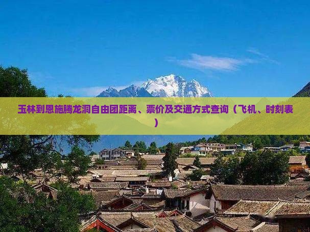 玉林到恩施腾龙洞自由团距离、票价及交通方式查询（飞机、时刻表）