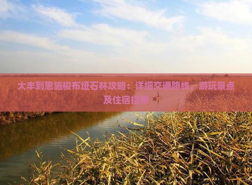 大丰到恩施梭布垭石林攻略：详细交通路线、游玩景点及住宿指南