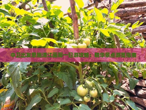 中卫出发恩施清江画廊一日游攻略：精华景点游览指南