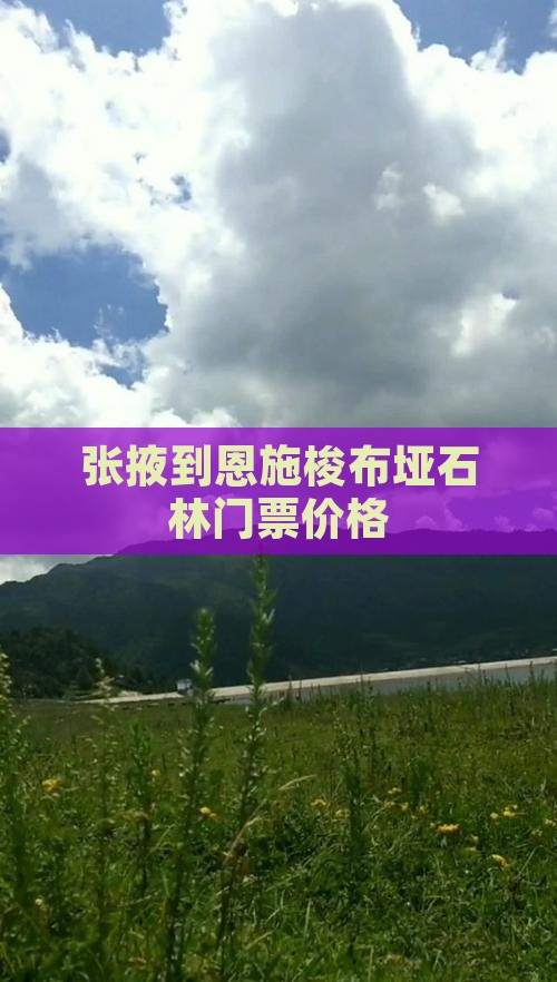 张掖到恩施梭布垭石林门票价格