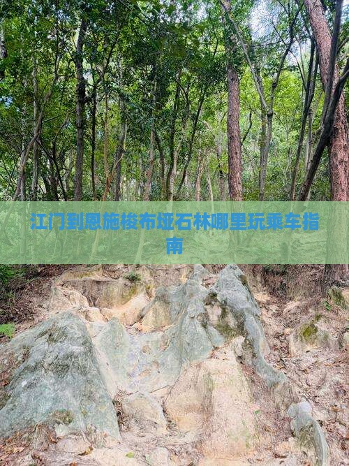 江门到恩施梭布垭石林哪里玩乘车指南
