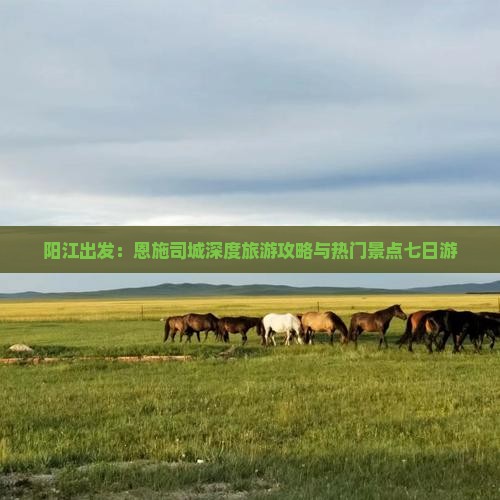 阳江出发：恩施司城深度旅游攻略与热门景点七日游