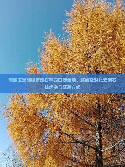 河源去恩施梭布垭石林四日游费用、路线及对比云南石林优劣与交通方式
