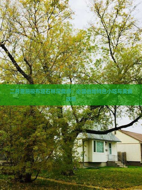 二月恩施梭布垭石林深度游：必尝当地特色小吃与美食攻略