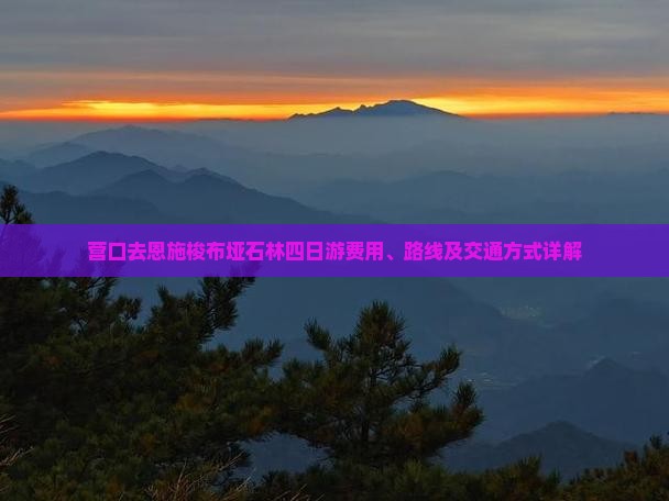 营口去恩施梭布垭石林四日游费用、路线及交通方式详解 营口去恩施梭布垭石林四日游费用、路线及交通方式详解