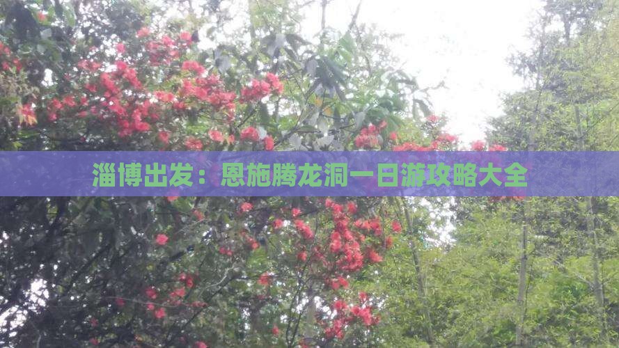 淄博出发：恩施腾龙洞一日游攻略大全