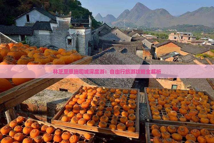 林芝至恩施司城深度游：自由行旅游攻略全解析