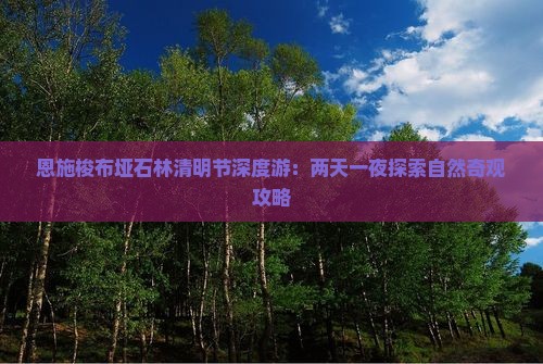 恩施梭布垭石林清明节深度游：两天一夜探索自然奇观攻略