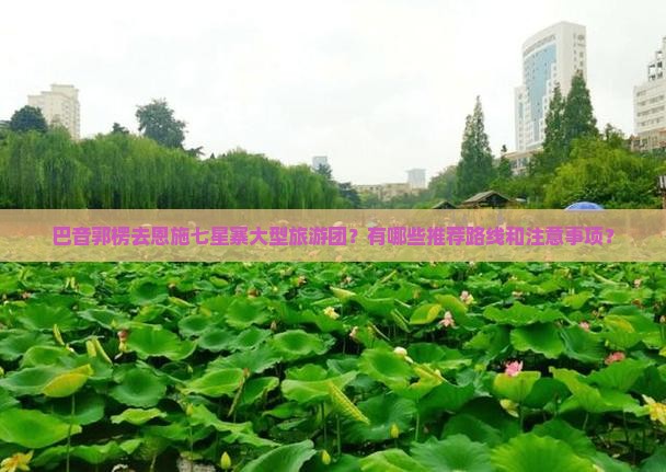 巴音郭楞去恩施七星寨大型旅游团