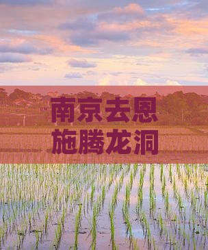 南京去恩施腾龙洞旅行社