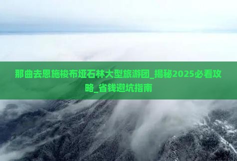那曲去恩施梭布垭石林大型旅游团