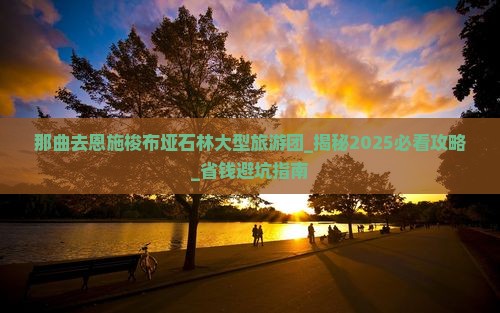 那曲去恩施梭布垭石林大型旅游团
