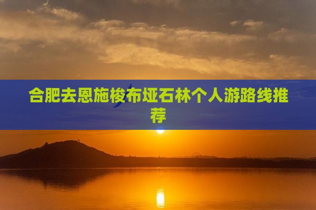 合肥去恩施梭布垭石林个人游