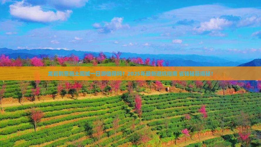 龙岩到恩施土司城一日