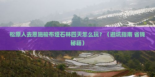 松原去恩施梭布垭石林四日游