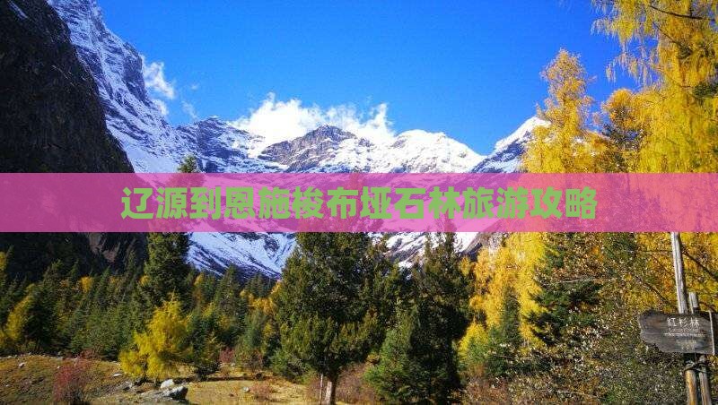 辽源到恩施梭布垭石林旅游
