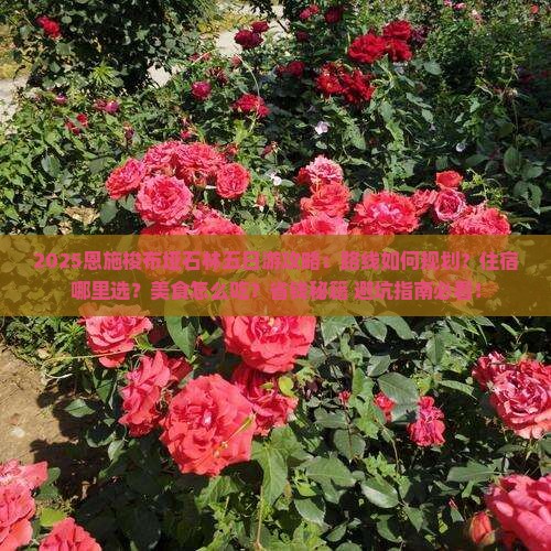 八月到恩施梭布垭石林五日游