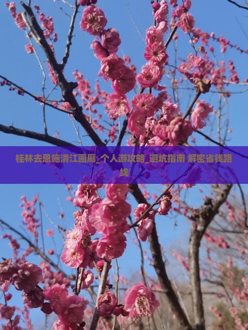 桂林去恩施清江画廊个人游