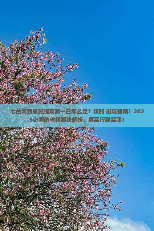 七台河到恩施腾龙洞一日