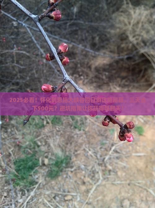 怀化到恩施大峡谷四日游