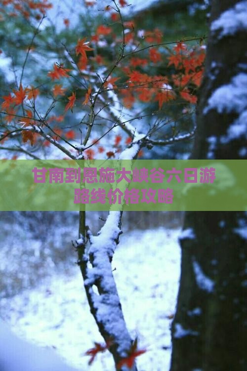 甘南到恩施大峡谷六日游